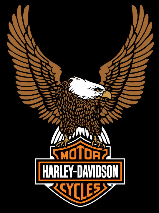 Harley Davidson Pool Table Felt Eagle Bar and Shield - Image 3