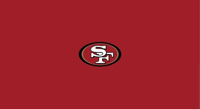 NFL Pool Table Felt - Image 29