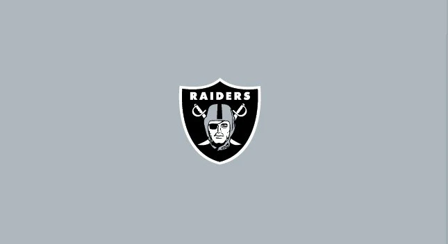 NFL Pool Table Felt - Image 50