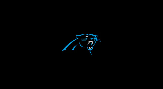 NFL Pool Table Felt - Image 6